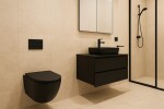 Erga Lily+, závěsná WC mísa 490x370x365mm, Rimless Tornado 2 + toaletní sedátko s pomalým zavíráním, černá matná, ERG-V03-LILY-TO2-BK