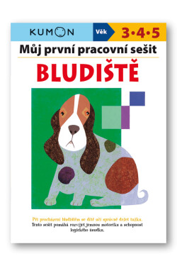 Můj pracovní sešit Bludište