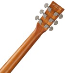 Tanglewood TR 3 LH