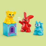 LEGO LEGO® DUPLO® 10450 Hopsy a hra s hradem