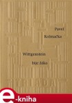 Wittgenstein bije žáka - Pavel Kolmačka e-kniha