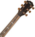Taylor 814ce Special Edition Cedar Sedona