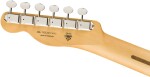 Fender 75th Anniversary Player II Telecaster RW SFMG