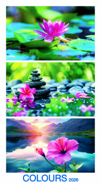 Nástěnný kalendář 2026 Graspo - Colours