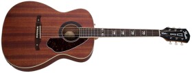 Fender Tim Armstrong Hellcat Acoustic