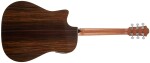 Furch Green Dc-SR Master's Choice Sunburst CNR Active