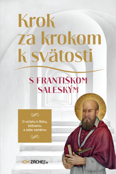 Krok za krokom k svätosti s Františkom Saleským - František Saleský