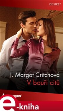 V bouři citů - J. Margot Critchová e-kniha