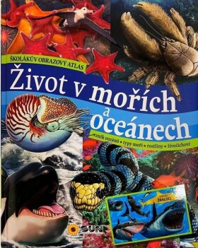 Život mořích oceánech