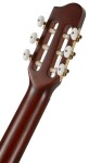 Godin Arena Pro CW Bourbon Burst EQ