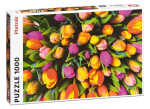 Puzzle Tulipány / 1000 dílků