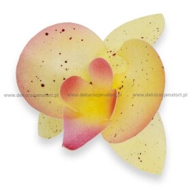 Dortisimo Dekorace z jedlého papíru Orchideje žluté (20 ks)