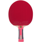 Raketa na stolní tenis Atemi 2000 stolní tenis