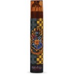 Pastelky v pouzdře Harry Potter 12 ks + ořezávátko - EPEE Merch - Pyramid