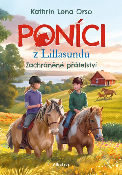 Poníci z Lillasundu - Zachráněné přátelství - Kathrin Orso