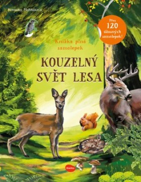 Kouzelný svět lesa