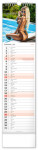 Nástěnný kalendář vázankový/kravata 2026 NOTIQUE - Spicy Girls, 12 x 48 cm