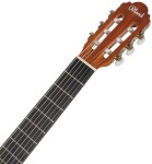 Blond SC-44 M NAT