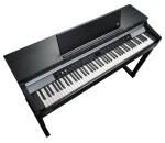 Kurzweil CUP P1 SR