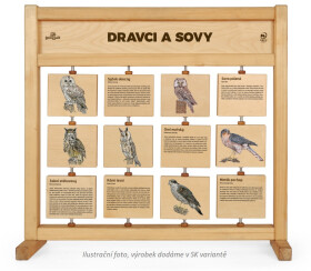 Tabuľky poznania stolné - Dravce a sovy SK