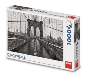 Černobílý New York