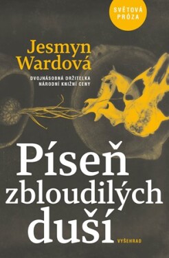 Píseň zbloudilých duší Jesmyn Wardová, Roman Jakubčík, Ladislav Nagy