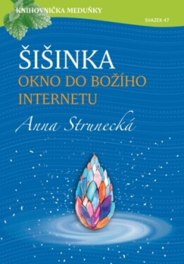 Šišinka, okno do božího internetu - Anna Strunecká - e-kniha