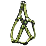 Active Dog Premium XS limetka / Postroj / Nylon / pro miniaturní psy / obvod hrudníku 32-44 cm (0904-91104)