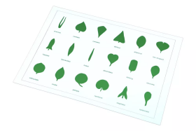 Moyo Montessori Moyo Montessori Tvary listů (karta)