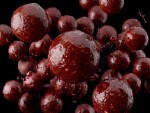 Delphin Boilies v dipu BreaX/HotHELL Robin red-Chilli-Fr.Klobása 200ml - 20mm,Delphin Boilies v dipu BreaX/HotHELL Robin red-Chilli-Fr.Klobása 200ml -