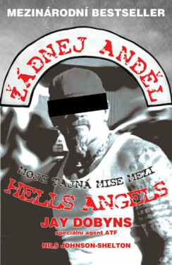 Žádnej anděl - Moje tajná mise mezi Hells Angels - Jay Dobyns
