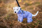 Nelly pláštěnka do deště - nepromokavá kombinéza Barva: Šedá, Délka zad (cm): 25, Obvod hrudníku: 25 - 39 cm