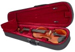 Violin Schönbach Golden/Brown