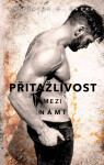 Přitažlivost mezi námi - Brittainy C. Cherry
