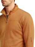 Pánská merino mikina ICEBREAKER Mens 300 RealFleece Descend LS Zip, Trail velikost: M