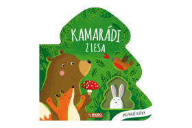 Knížka Kamarádi z lesa 20x20cm 12m+ - Roberta Marcolin