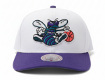 Mitchell & Ness Pánská kšiltovka Charlotte Hornets NBA Team 2 Tone 2.0 Pro Snapback HWC