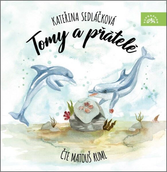 Tomy a přátelé (audiokniha - čte Matouš Ruml) - Kateřina Sedláčková