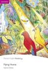 PER | Easystart: Flying Home Bk/MP3 Pack - Stephen Rabley