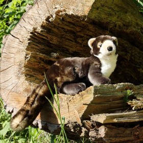 Plyšová kuna 39 cm, ECO-FRIENDLY