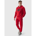 Mikina 4F M 4FWSS24TSWSM0950-61S pánské 3XL