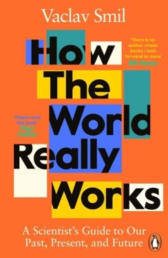 How the World Really Works : A Scientist´s Guide to Our Past, Present and Future - Václav Smil