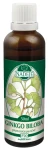 Ginkgo Biloba - Jinan dvoulaločný (P20)