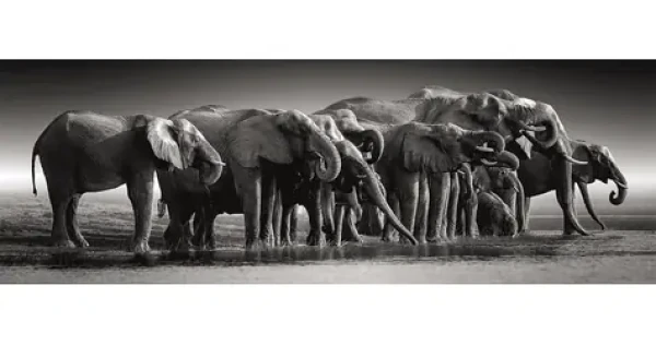 Clementoni 39895 Panoramatické puzzle Stádo obrů 1000 dílků