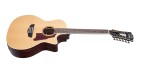 D'Angelico Premier Fulton Grand Auditorium 12-String CE Natural