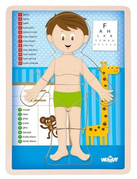 Puzzle ´´Lidské tělo´´ Kluk