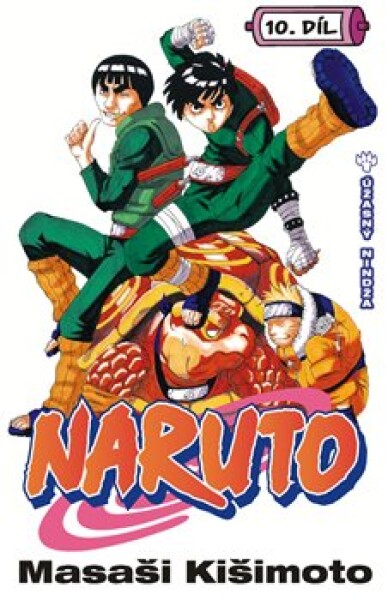 Naruto 10: Úžasný nindža Masaši Kišimoto