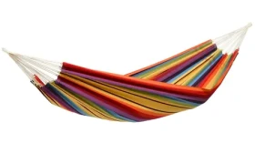 Amazonas Barbados rainbow