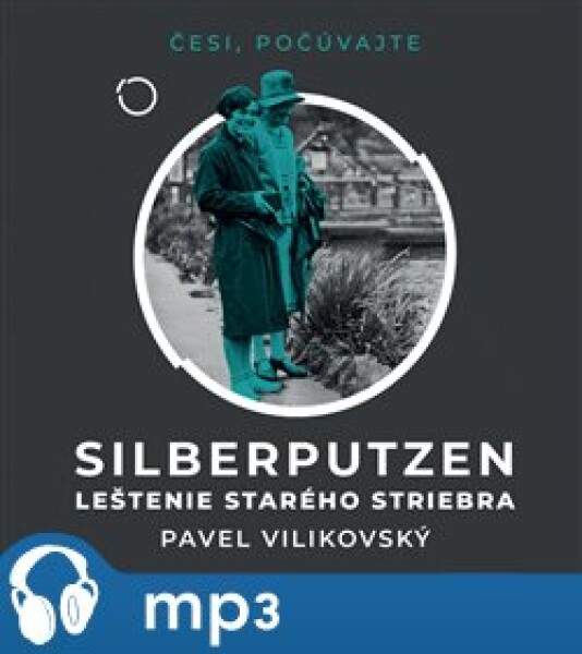 Silberputzen Pavel Vilikovský