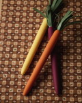 Rifle Paper Co. Sada propisek Tricolor Carrots – set 3 ks, multi barva, plast